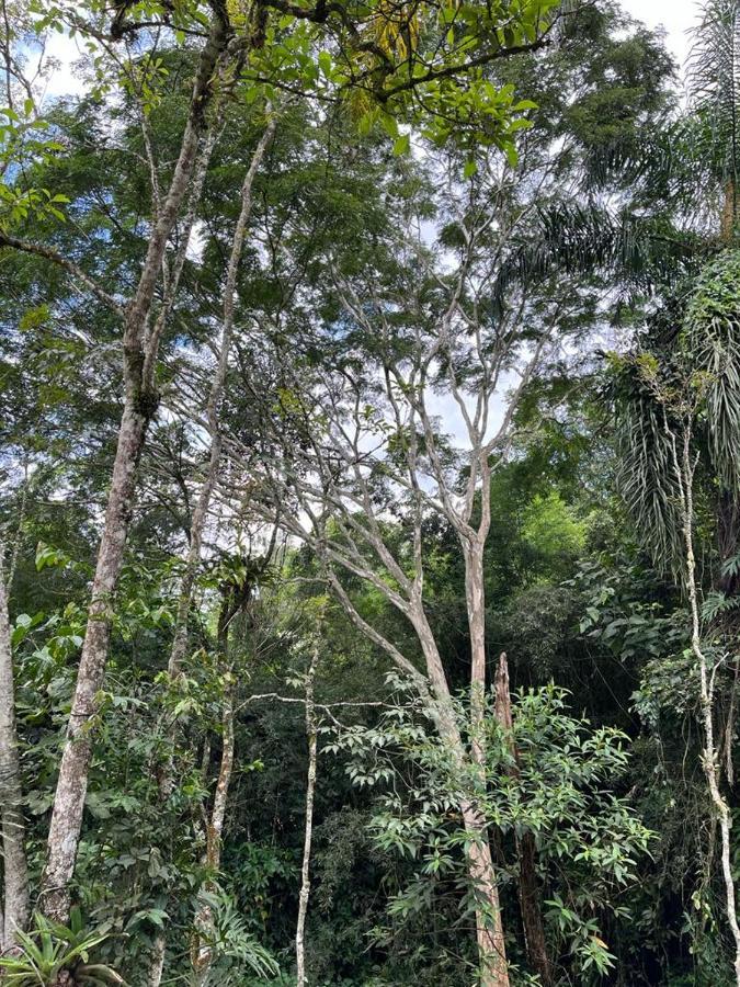 Sitio Serenar Chales Equipados Penedo  Bagian luar foto